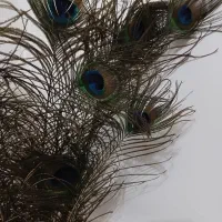 پر طاووس به همراه گلدان|گل مصنوعی|دزفول, |دیوار