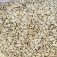 تخمه کدو و آفتابگردان|خوردنی و آشامیدنی|تهران, جوادیه تهرانپارس|دیوار