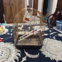 قفس کاسکویی با وسایل|لوازم جانبی حیوانات|اهواز, زیتون کارمندی|دیوار