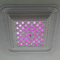 نقاشی ساختمان،|خدمات پیشه و مهارت|سلماس, |دیوار