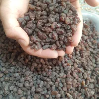 کشمش آفتابی درجه یک اعلا|خوردنی و آشامیدنی|تاکستان, |دیوار
