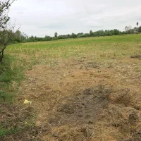 کدپرش/زمین مسکونی+کشاورزی بیجاربرنج۲۱هزارمترسنگر|فروش زمین و ملک کلنگی|کوچصفهان, |دیوار