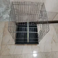 قفس عروس هلندی|لوازم جانبی حیوانات|تهران, چیتگر شمالی|دیوار