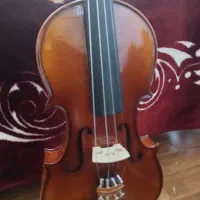 ویولن مارک نو