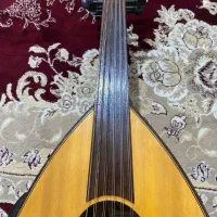 عودد