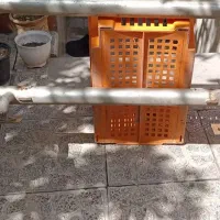 مجموعه ای از لوازم پاترول