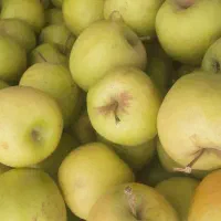 فروش  میوه جات و سیفی جات