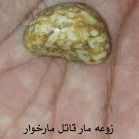 مهره (زوعه مار)اصل|کلکسیون اشیاء عتیقه|برازجان, |دیوار