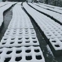 استخدام اکیپ بلوک زن