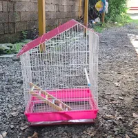 دو عدد قفس پرنده|لوازم جانبی حیوانات|رشت, پسیخان|دیوار