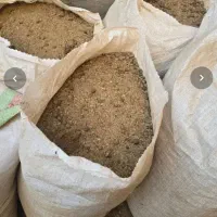 کود دامی|خدمات باغبانی و درختکاری|رامسر, |دیوار