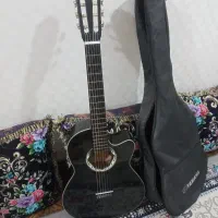 گیتار کاملن سالم به همراه کیف