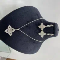 نیم ست نقره