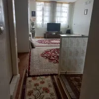 اجاره آپارتمان ۶۰ متری ۱ خوابه طبقه ۱ در مسعودیه|اجارهٔ آپارتمان|تهران, مسعودیه|دیوار
