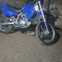 تریل احسان وحشی