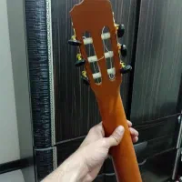 گیتار پارسی M2|گیتار، بیس، امپلیفایر|تهران, جیحون|دیوار