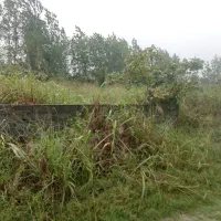 پردیس-بلوارامام-رضا