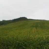زمین-کشاورزی