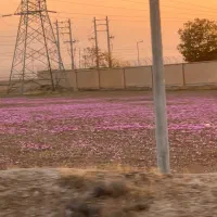 تدریس خصوصی ریاضی