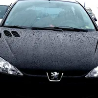 206تیپ 5 بدون رنگ ۴سال پارک  ( سرامیک )