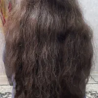 مو طبیعی