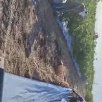 زیر درختی و صیفی جات  و باغی (مالچ)