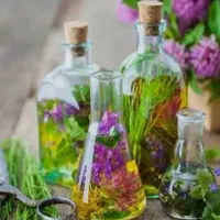 بهترین عرقیات شیراز