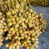 رطب عسلی|حراج|تهران, صاحب الزمان|دیوار