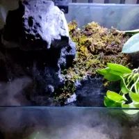 آکواریوم ، پالوداریم|ماهی|قم, شهرک توانیر|دیوار