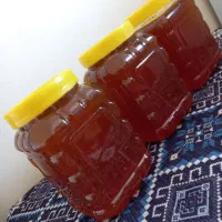 عسل طبیعی  گون لرستان|خوردنی و آشامیدنی|تهران, جی|دیوار