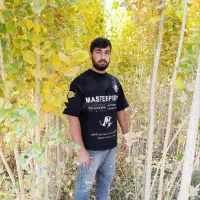 نهال صنوبر و کبوده یک سال تا پنج سال|خدمات باغبانی و درختکاری|سنندج, |دیوار