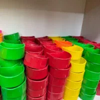 پرنده لوازم بازی و ملزومات عروس طوطی مرغ عشق|پرنده|لاهیجان, کوی زمانی|دیوار