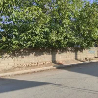 کود حیوانی