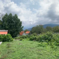 زمین مسکونی ۲۵۰ متر ، روستای لولاک