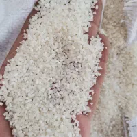 برنج و نیمدانه|خوردنی و آشامیدنی|یزد, |دیوار