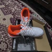 کفش چمن|کیف، کفش، کمربند|مشهد, نیزه|دیوار