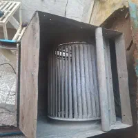 حلزون کولرآبی چهارهزاروپانصدسالم