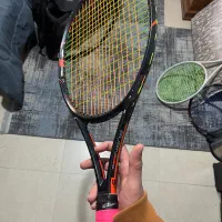 راکت تنیس Wilson FST|ورزشهای توپی|ساری, |دیوار