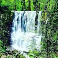 تورهای شاد وراحت بانوان|تور و چارتر|فلاورجان, |دیوار