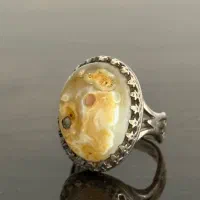 انگشتر شجر سلیمانی