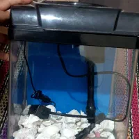 آکواریوم جیاجویا