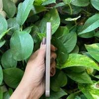 ایفون ۱۳ نرمال (۲۵۶گیگ)|موبایل|حمیدیا, |دیوار