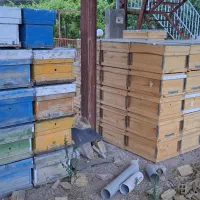 لوازم زنبور عسل