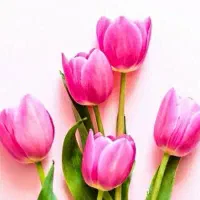 حراج دانشجویی و دانش اموزی