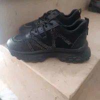 کتونی|کیف، کفش، کمربند|نورآباد, |دیوار