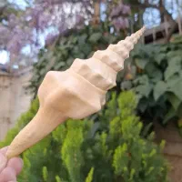 حلزون یا صدف شیپوری وارداتی دکوری