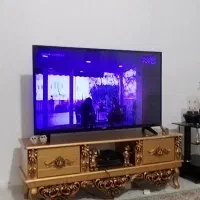 تلویزیون وستل