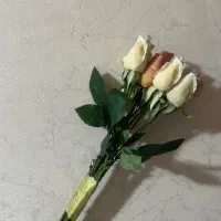 ۱۱عدد گل رز