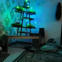 سوعیت اجاره ای