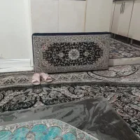 پشتی